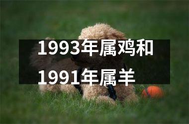 <h3>1993年属鸡和1991年属羊