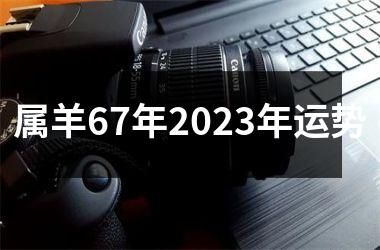 <h3>属羊67年2025年运势