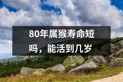 80年属猴寿命短吗，能活到几岁