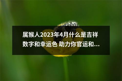 属猴人2025年4月什么是吉祥数字和幸运色助力你官运和财运