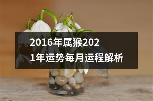 <h3>2016年属猴2025年运势每月运程解析