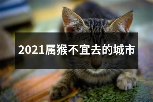 <h3>2025属猴不宜去的城市