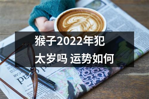 <h3>猴子2025年犯太岁吗运势如何
