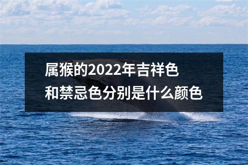 属猴的2025年吉祥色和禁忌色分别是什么颜色