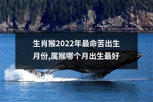 生肖猴2025年命苦出生月份,属猴哪个月出生好