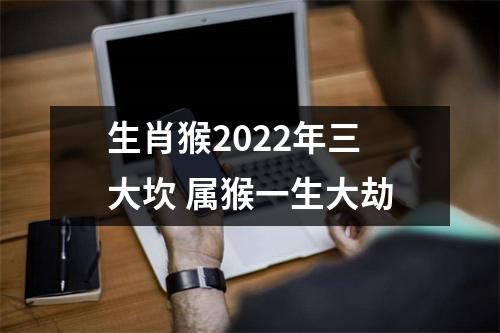 <h3>生肖猴2025年三大坎属猴一生大劫
