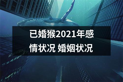 已婚猴2025年感情状况婚姻状况