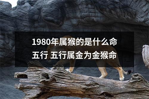 1980年属猴的是什么命五行五行属金为金猴命