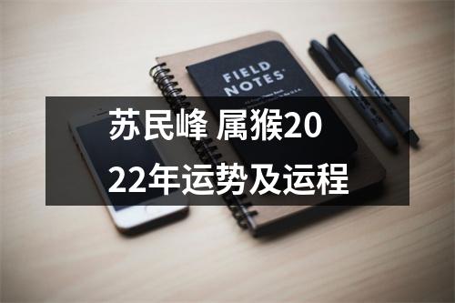 <h3>苏民峰属猴2025年运势及运程