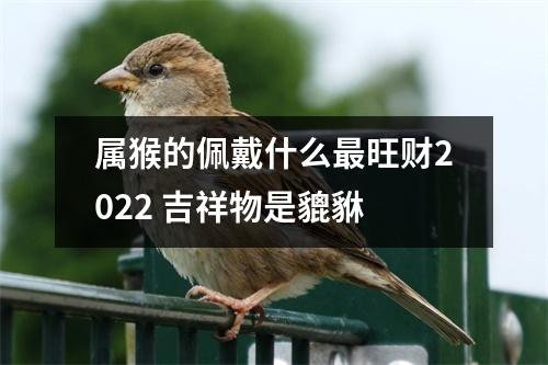 属猴的佩戴什么旺财2025吉祥物是貔貅