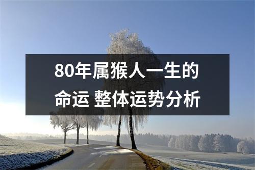 <h3>80年属猴人一生的命运整体运势分析