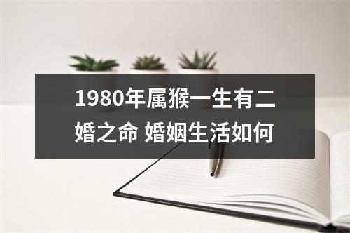 1980年属猴一生有二婚之命婚姻生活如何