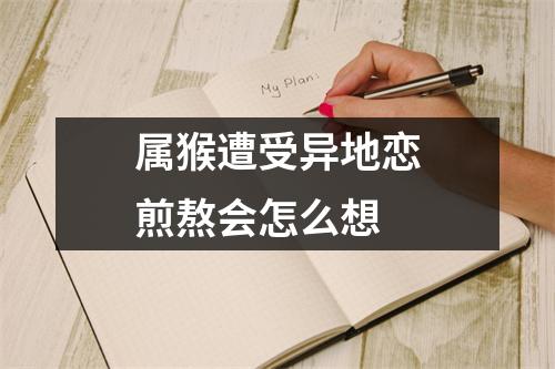 <h3>属猴遭受异地恋煎熬会怎么想