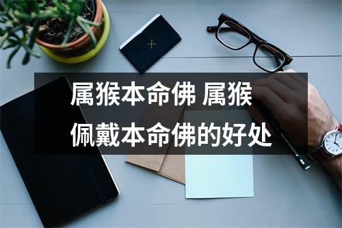<h3>属猴本命佛属猴佩戴本命佛的好处