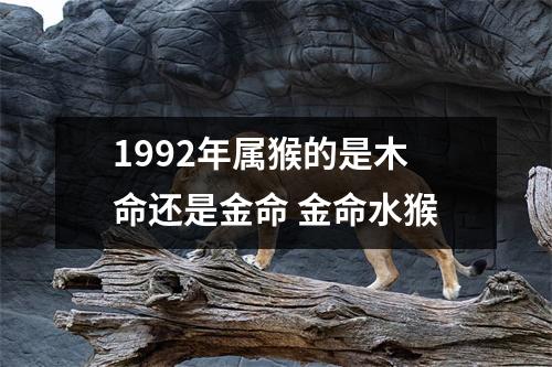 1992年属猴的是木命还是金命金命水猴