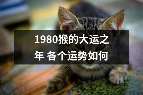 <h3>1980猴的大运之年各个运势如何