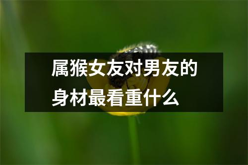 <h3>属猴女友对男友的身材看重什么