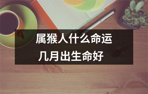 <h3>属猴人什么命运几月出生命好