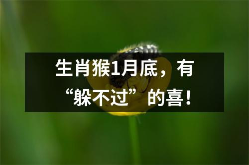 <h3>生肖猴1月底，有“躲不过”的喜！