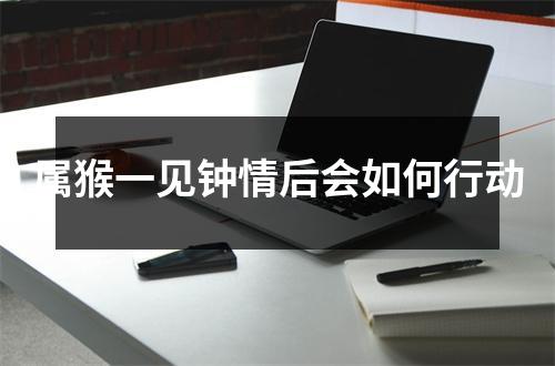 <h3>属猴一见钟情后会如何行动