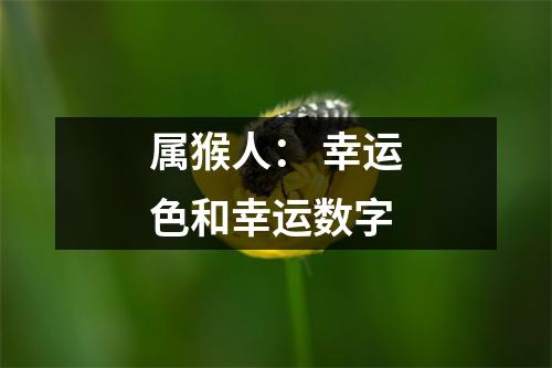 <h3>属猴人：幸运色和幸运数字