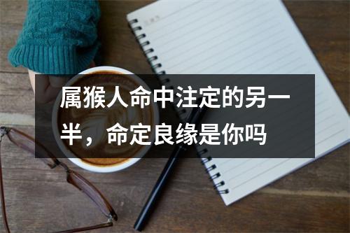 <h3>属猴人命中注定的另一半，命定良缘是你吗
