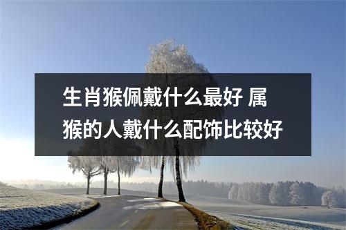 <h3>生肖猴佩戴什么好属猴的人戴什么配饰比较好