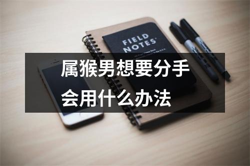 <h3>属猴男想要分手会用什么办法