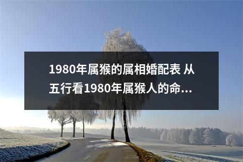 1980年属猴的属相婚配表从五行看1980年属猴人的命运