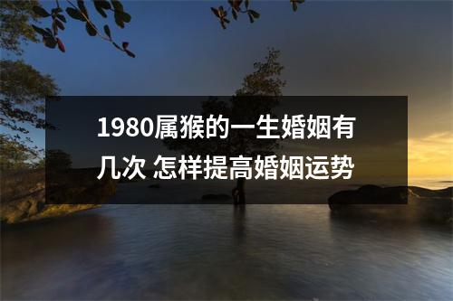 1980属猴的一生婚姻有几次怎样提高婚姻运势