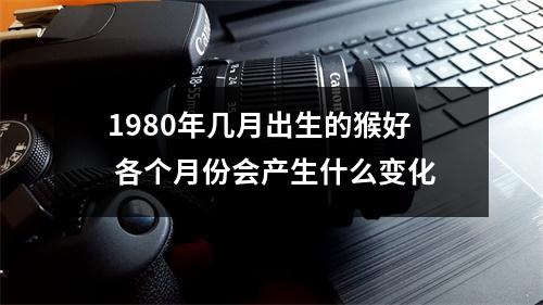 1980年几月出生的猴好各个月份会产生什么变化