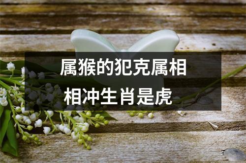 属猴的犯克属相相冲生肖是虎