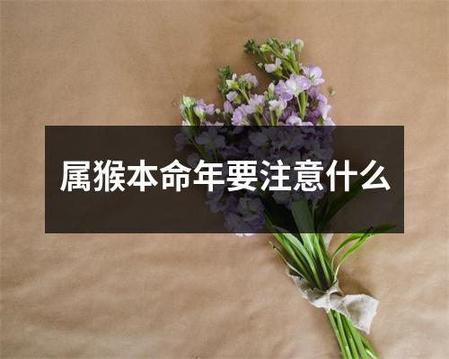 属猴本命年要注意什么