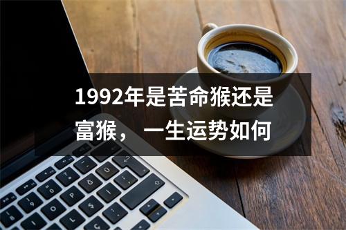 1992年是苦命猴还是富猴，一生运势如何