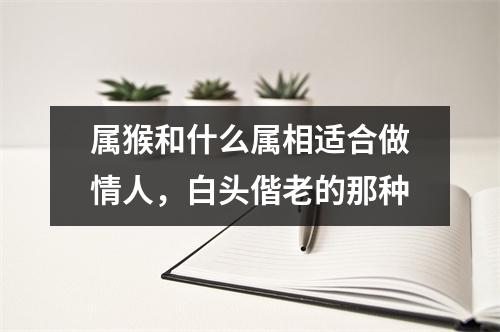 属猴和什么属相适合做情人，白头偕老的那种