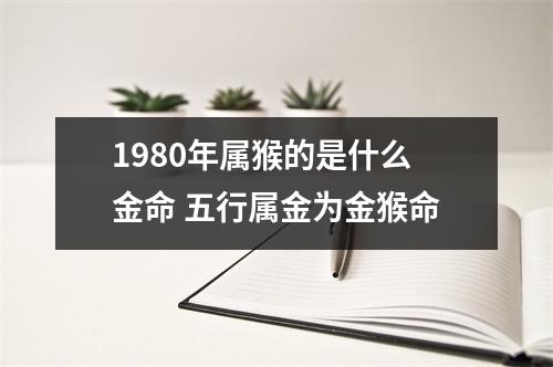 1980年属猴的是什么金命五行属金为金猴命