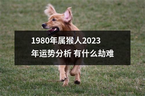 1980年属猴人2025年运势分析有什么劫难