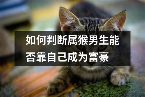 如何判断属猴男生能否靠自己成为富豪