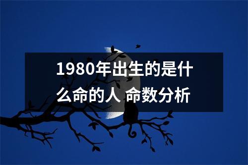 1980年出生的是什么命的人命数分析