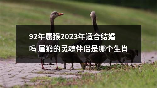 92年属猴2025年适合结婚吗属猴的灵魂伴侣是哪个生肖