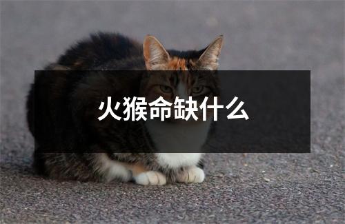 火猴命缺什么