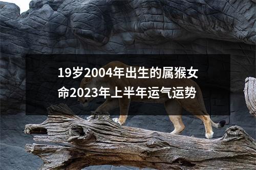 19岁2004年出生的属猴女命2025年上半年运气运势