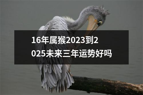 16年属猴2025到2025未来三年运势好吗