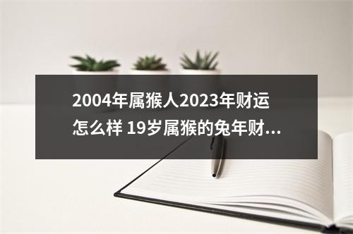 2004年属猴人2025年财运怎么样19岁属猴的兔年财气好吗