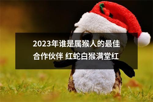 2025年谁是属猴人的佳合作伙伴红蛇白猴满堂红