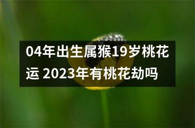 04年出生属猴19岁桃花运 2025年有桃花劫吗