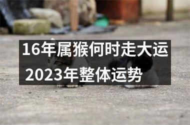 16年属猴何时走大运 2025年整体运势