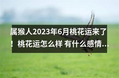 属猴人2025年6月桃花运来了！桃花运怎么样 有什么感情建议