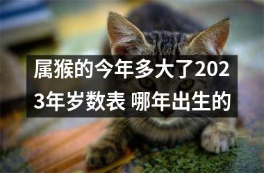 属猴的今年多大了2025年岁数表 哪年出生的