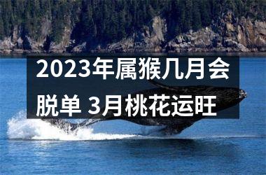 2025年属猴几月会脱单 3月桃花运旺